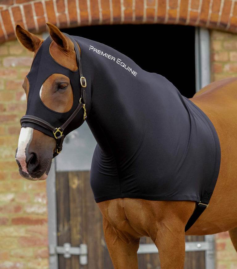 Premier Equine Stretch Lycra Hood - N P Equestrian & Pet Supplies Ltd 