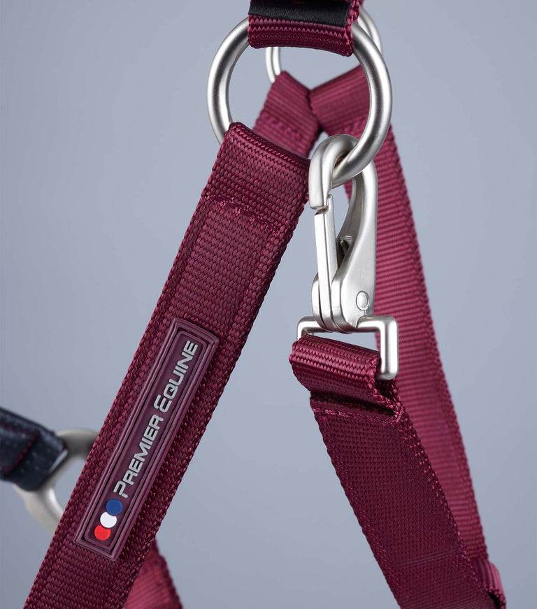 Premier Equine Plain Padded Horse Head Collar - N P Equestrian & Pet Supplies Ltd 