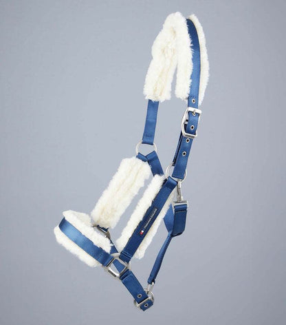 Premier Equine Techno Wool Lined Head Collar - N P Equestrian & Pet Supplies Ltd 