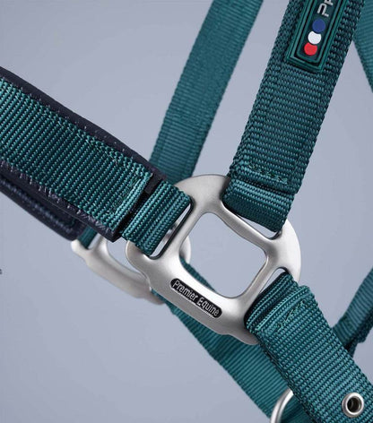 Premier Equine Plain Padded Horse Head Collar - N P Equestrian & Pet Supplies Ltd 