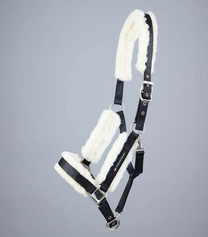 Premier Equine Techno Wool Lined Head Collar - N P Equestrian & Pet Supplies Ltd 