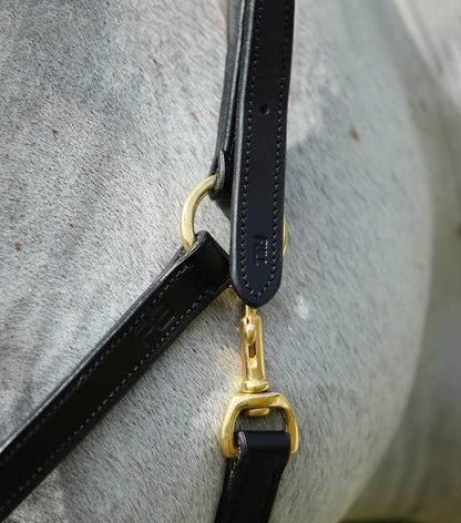 Premier Equine Pasco Plain Leather Head Collar - N P Equestrian & Pet Supplies Ltd 