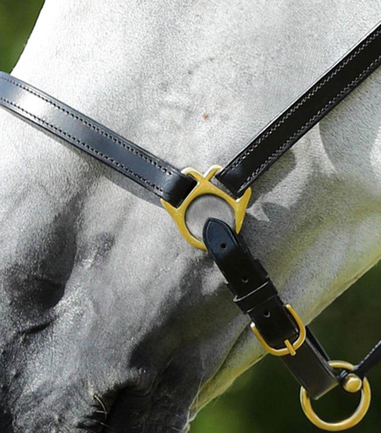 Premier Equine Pasco Plain Leather Head Collar - N P Equestrian & Pet Supplies Ltd 
