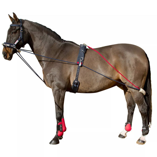 John Whitaker Training System
