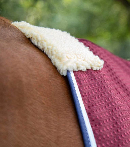 Premier Equine Buster Waffle Horse Cooler Rug - N P Equestrian & Pet Supplies Ltd 