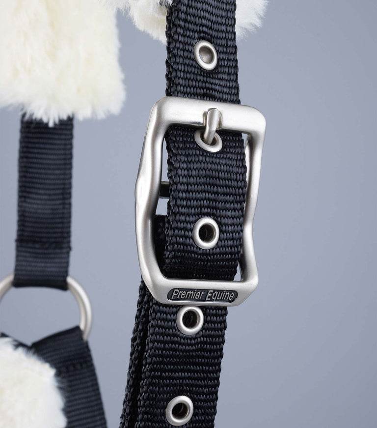 Premier Equine Techno Wool Lined Head Collar - N P Equestrian & Pet Supplies Ltd 