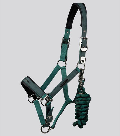 Premier Equine Duco Padded Head Collar with Lead Rope - N P Equestrian & Pet Supplies Ltd 