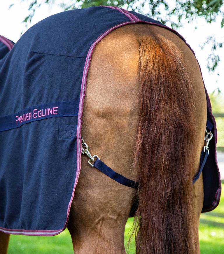 Premier Equine Barrasso Stable Sheet - N P Equestrian & Pet Supplies Ltd 