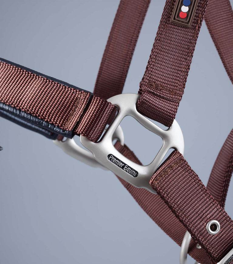 Premier Equine Plain Padded Horse Head Collar - N P Equestrian & Pet Supplies Ltd 