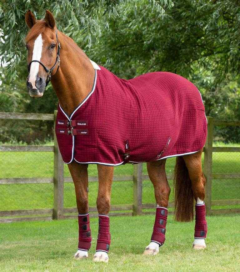 Premier Equine PremTex Horse Cooler Rug Black