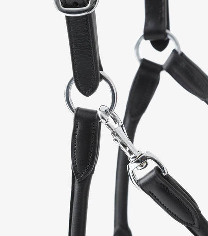 Premier Equine Hennaroso Rolled Anatomic Leather Head Collar - N P Equestrian & Pet Supplies Ltd 