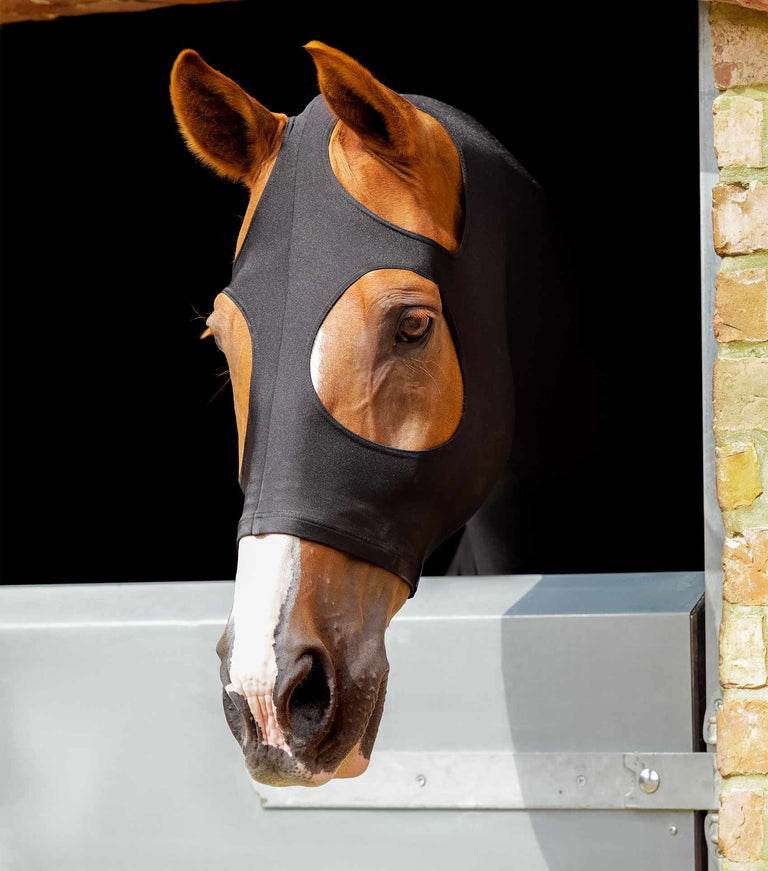 Premier Equine Stretch Lycra Hood - N P Equestrian & Pet Supplies Ltd 