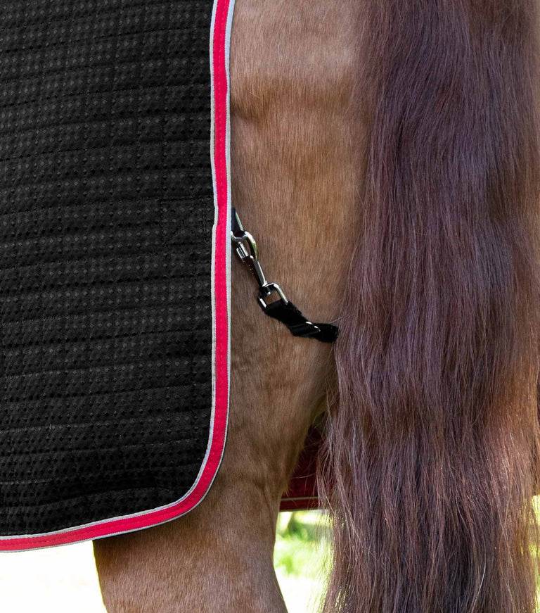 Premier Equine Clip on Adjustable Tail Strap - N P Equestrian & Pet Supplies Ltd 