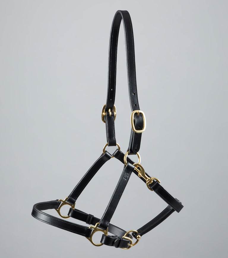 Premier Equine Pasco Plain Leather Head Collar - N P Equestrian & Pet Supplies Ltd 