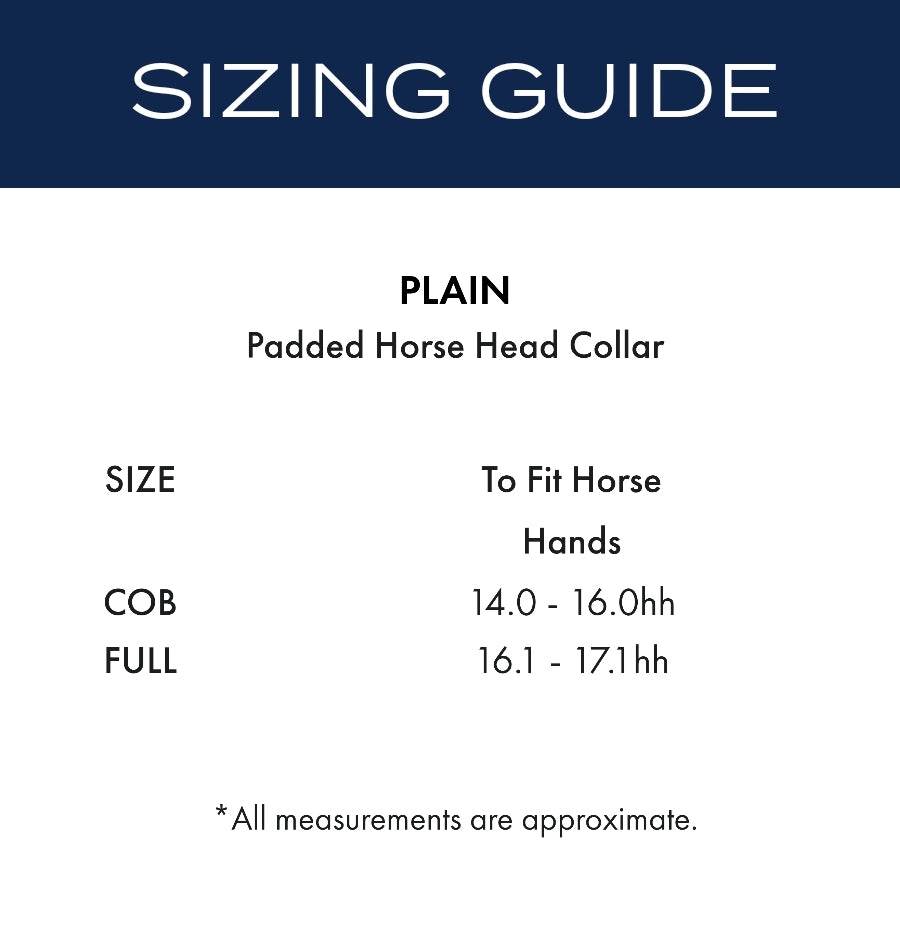 Premier Equine Plain Padded Horse Head Collar - N P Equestrian & Pet Supplies Ltd 