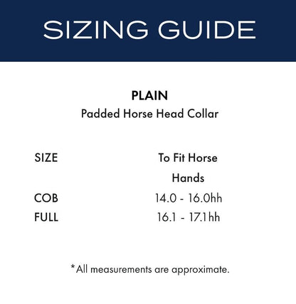 Premier Equine Plain Padded Horse Head Collar - N P Equestrian & Pet Supplies Ltd 