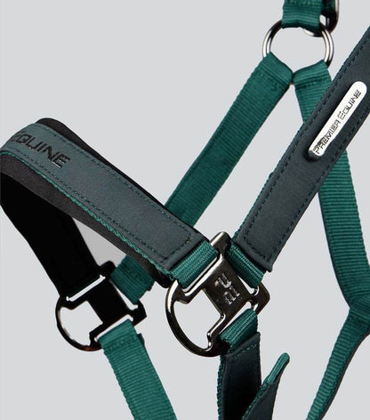 Premier Equine Duco Padded Head Collar with Lead Rope - N P Equestrian & Pet Supplies Ltd 