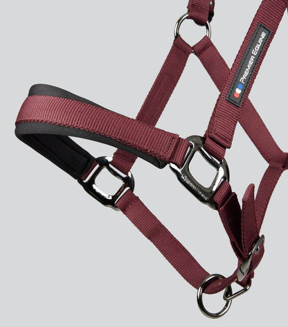 Premier Equine Corda Padded Head Collar with Lead Rope - N P Equestrian & Pet Supplies Ltd 