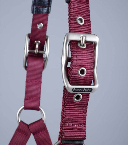 Premier Equine Plain Padded Horse Head Collar - N P Equestrian & Pet Supplies Ltd 