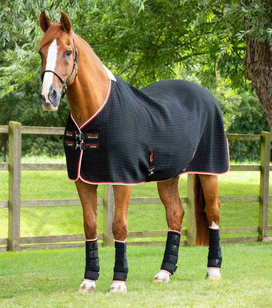 Premier Equine PremTex Horse Cooler Rug Black