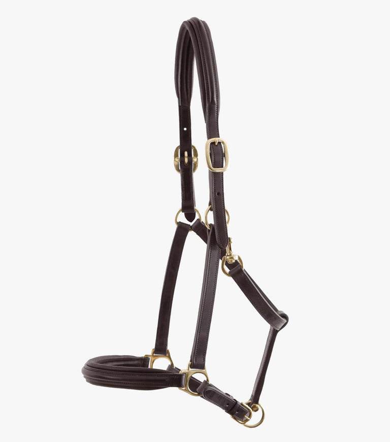 Premier Equine Rego Padded Leather Head Collar - N P Equestrian & Pet Supplies Ltd 