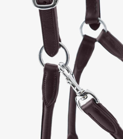 Premier Equine Hennaroso Rolled Anatomic Leather Head Collar - N P Equestrian & Pet Supplies Ltd 