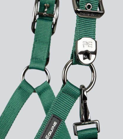 Premier Equine Corda Padded Head Collar with Lead Rope - N P Equestrian & Pet Supplies Ltd 