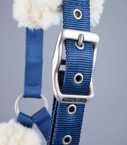 Premier Equine Techno Wool Lined Head Collar - N P Equestrian & Pet Supplies Ltd 