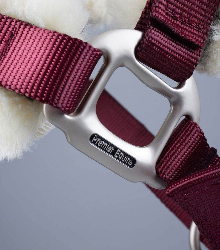 Premier Equine Techno Wool Lined Head Collar - N P Equestrian & Pet Supplies Ltd 