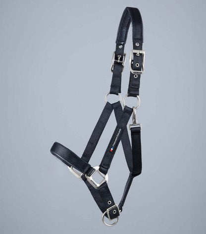 Premier Equine Plain Padded Horse Head Collar - N P Equestrian & Pet Supplies Ltd 