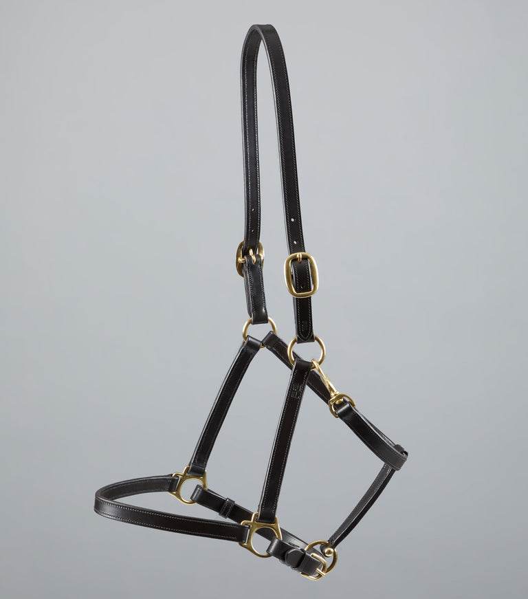 Premier Equine Pasco Plain Leather Head Collar Brown - N P Equestrian & Pet Supplies Ltd 