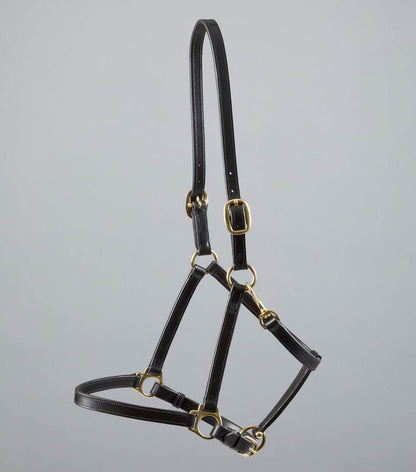 Premier Equine Pasco Plain Leather Head Collar Brown - N P Equestrian & Pet Supplies Ltd 