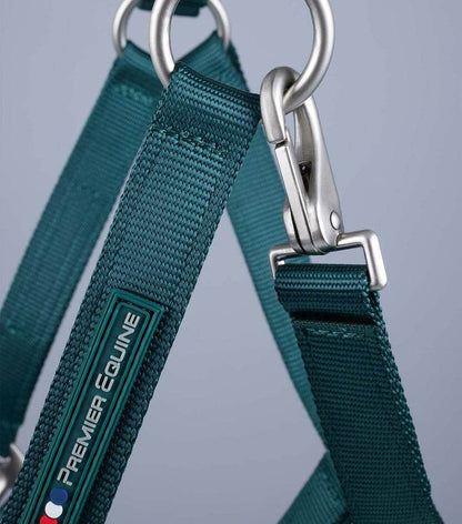 Premier Equine Plain Padded Horse Head Collar - N P Equestrian & Pet Supplies Ltd 