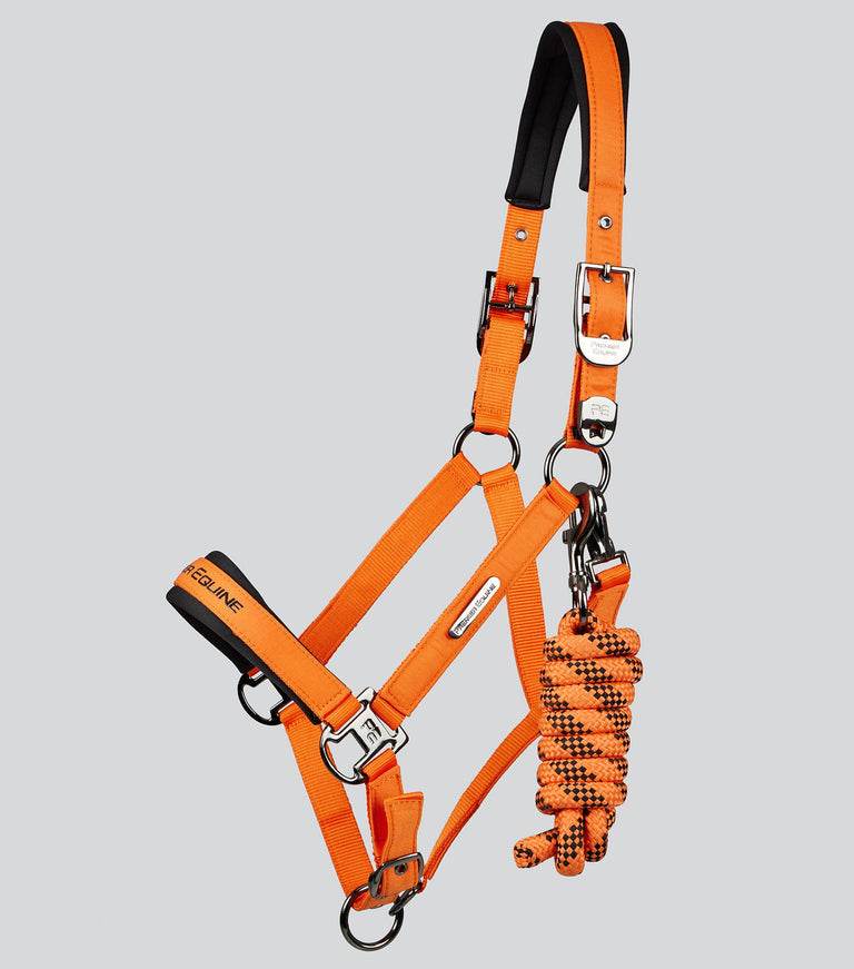 Premier Equine Duco Padded Head Collar with Lead Rope - N P Equestrian & Pet Supplies Ltd 