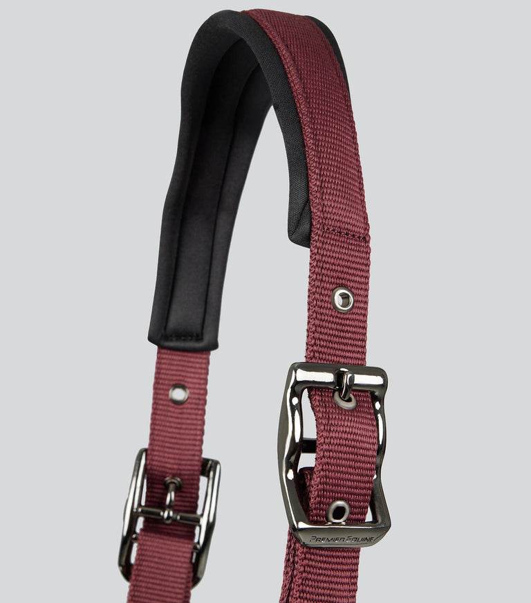 Premier Equine Corda Padded Head Collar with Lead Rope - N P Equestrian & Pet Supplies Ltd 
