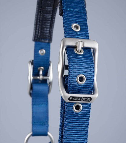 Premier Equine Plain Padded Horse Head Collar - N P Equestrian & Pet Supplies Ltd 
