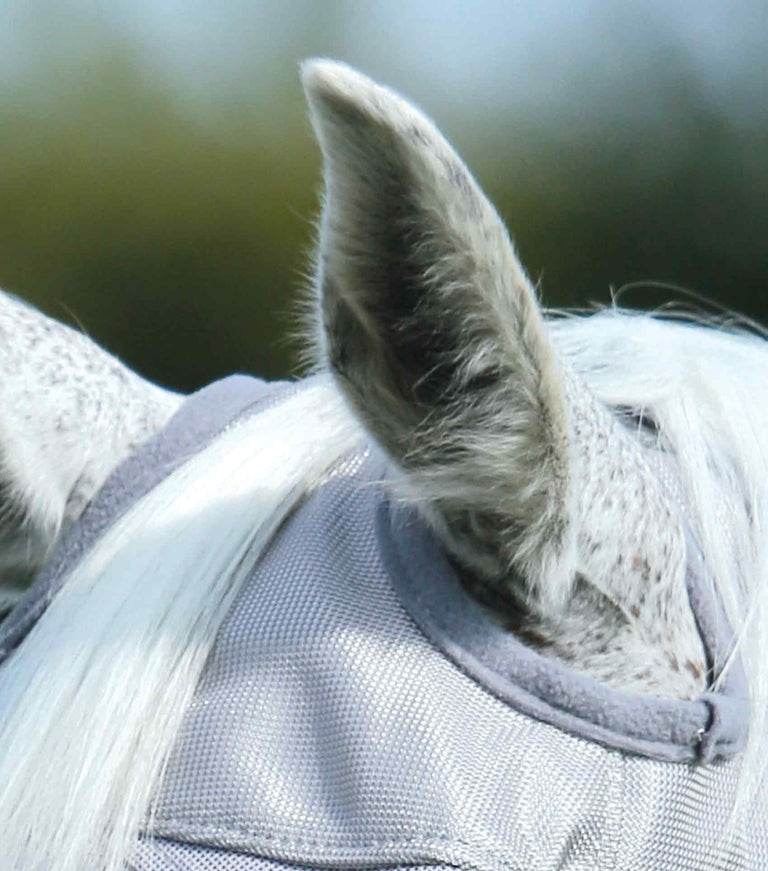 Premier Equine Buster Fly Mask Standard - N P Equestrian & Pet Supplies Ltd 
