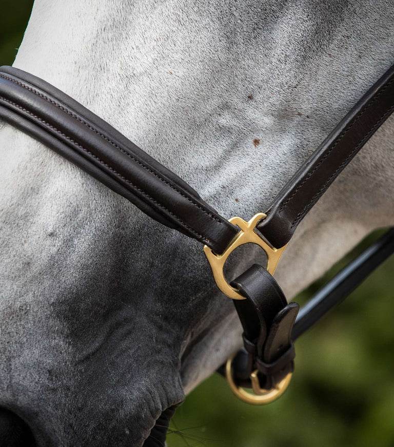 Premier Equine Rego Padded Leather Head Collar - N P Equestrian & Pet Supplies Ltd 