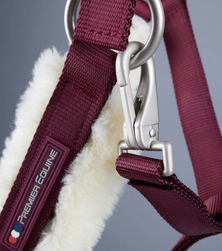 Premier Equine Techno Wool Lined Head Collar - N P Equestrian & Pet Supplies Ltd 
