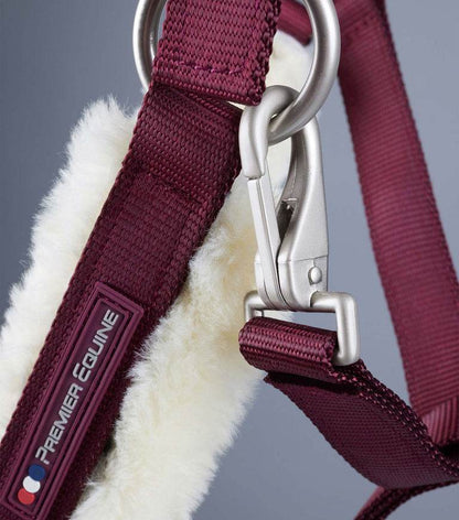 Premier Equine Techno Wool Lined Head Collar - N P Equestrian & Pet Supplies Ltd 
