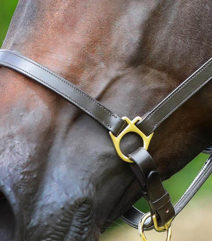 Premier Equine Pasco Plain Leather Head Collar Brown - N P Equestrian & Pet Supplies Ltd 