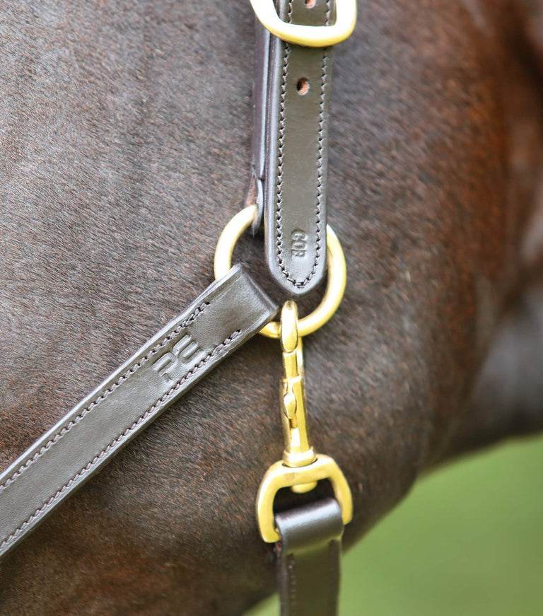 Premier Equine Pasco Plain Leather Head Collar Brown - N P Equestrian & Pet Supplies Ltd 