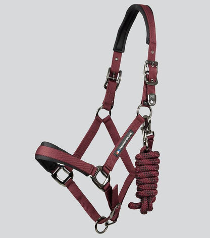 Premier Equine Corda Padded Head Collar with Lead Rope - N P Equestrian & Pet Supplies Ltd 