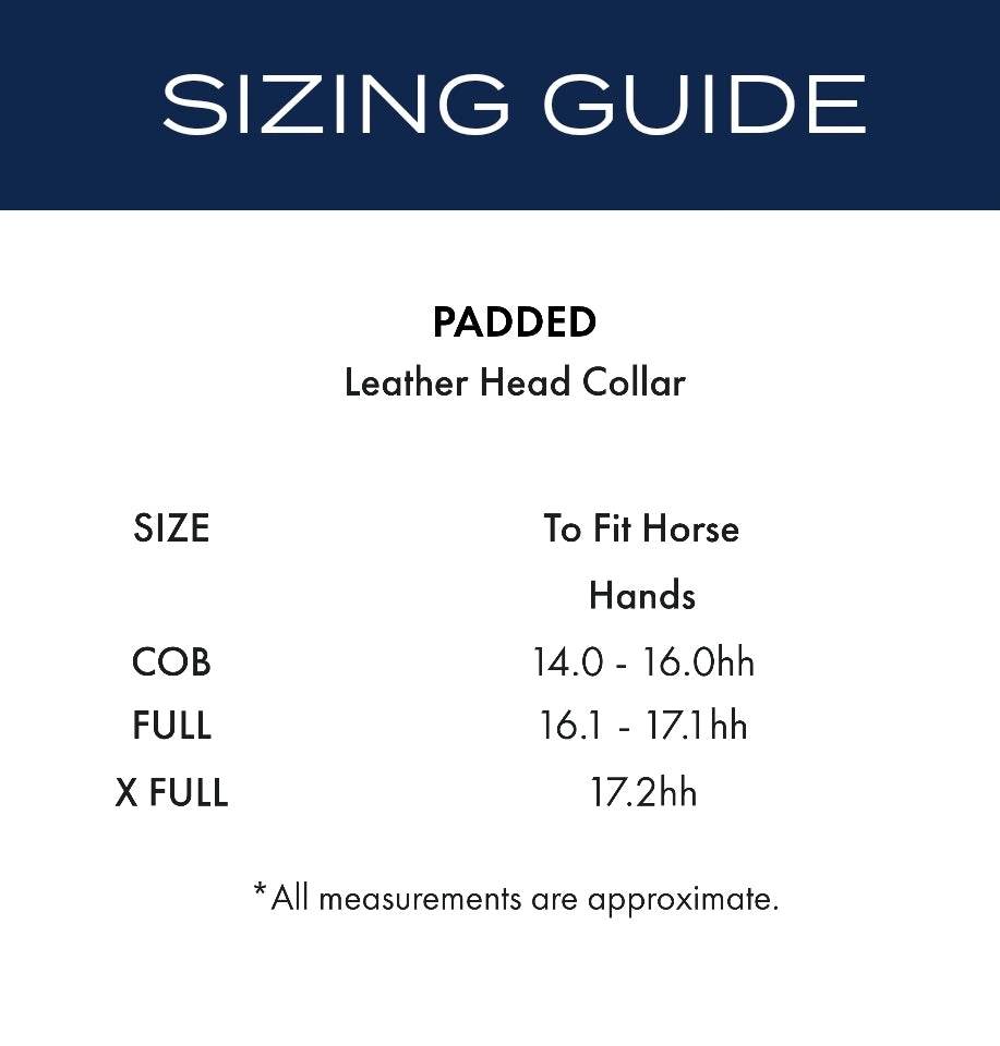 Premier Equine Rego Padded Leather Head Collar - N P Equestrian & Pet Supplies Ltd 