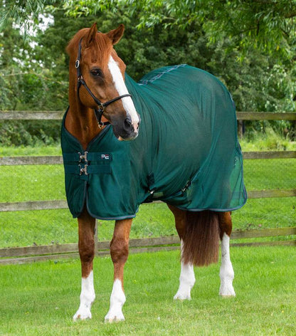 Premier Equine Ventoso Mesh Cooler - N P Equestrian & Pet Supplies Ltd 