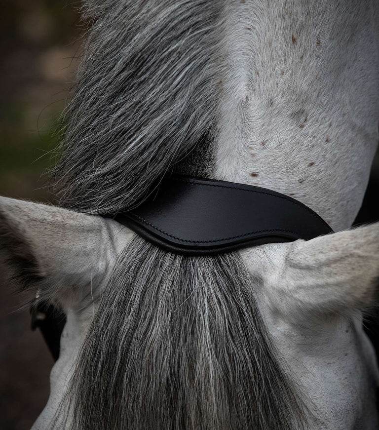 Premier Equine Hennaroso Rolled Anatomic Leather Head Collar - N P Equestrian & Pet Supplies Ltd 