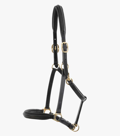 Premier Equine Rego Padded Leather Head Collar - N P Equestrian & Pet Supplies Ltd 