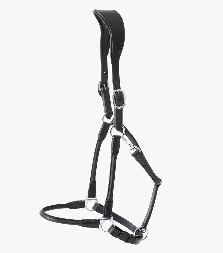 Premier Equine Hennaroso Rolled Anatomic Leather Head Collar - N P Equestrian & Pet Supplies Ltd 