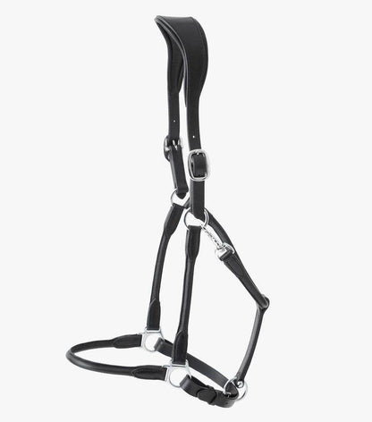 Premier Equine Hennaroso Rolled Anatomic Leather Head Collar - N P Equestrian & Pet Supplies Ltd 