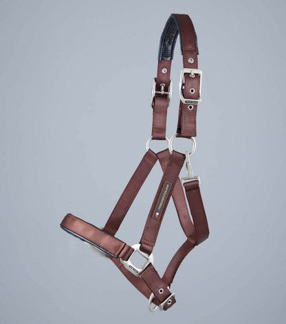Premier Equine Plain Padded Horse Head Collar - N P Equestrian & Pet Supplies Ltd 